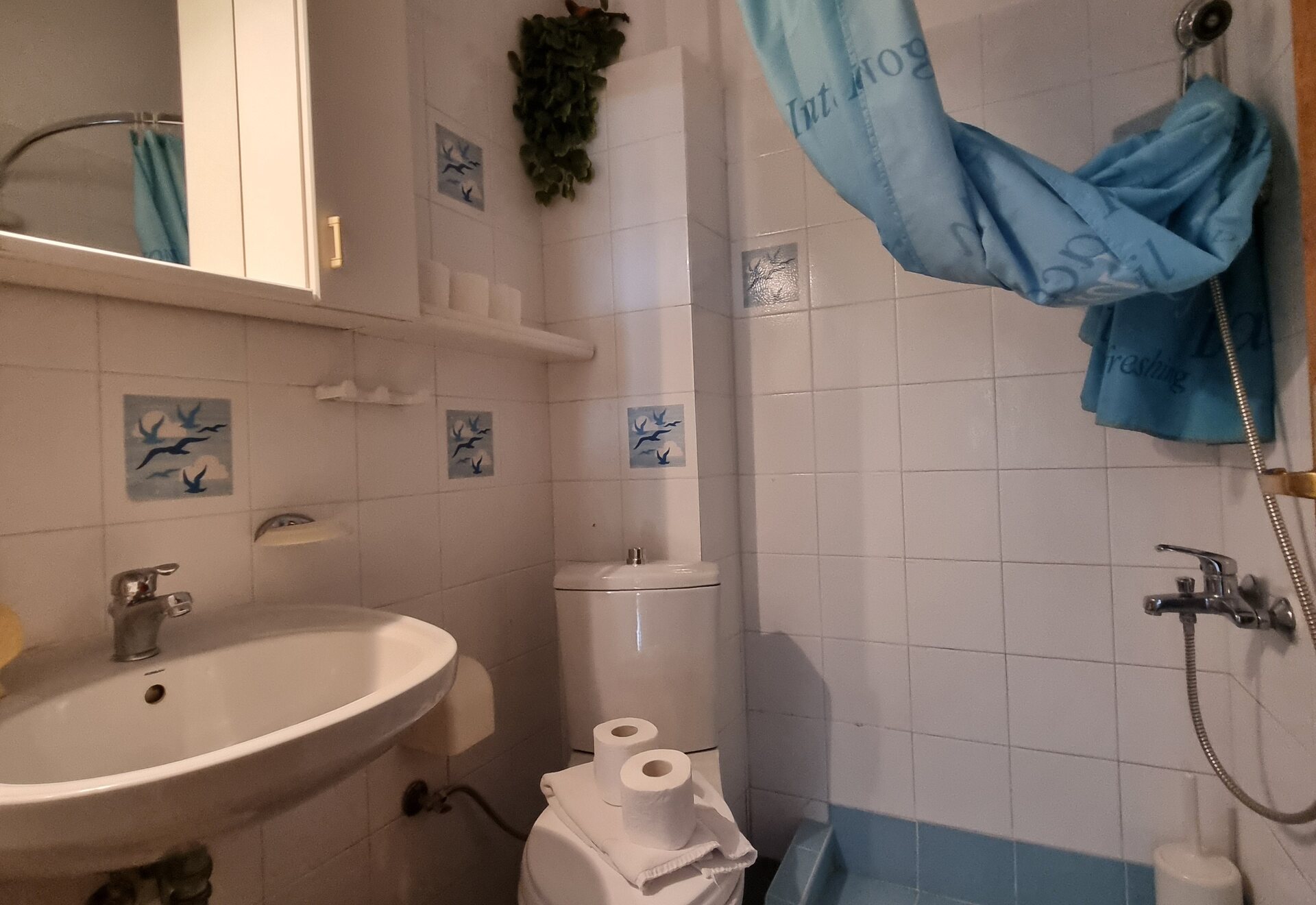 Polychrono Duplex private bathroom with shower
